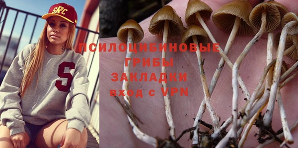 гидропоника Арсеньев